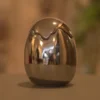 egg egg